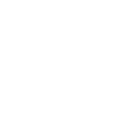 Transparent background. White stylized V.